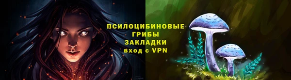 дмт Беломорск
