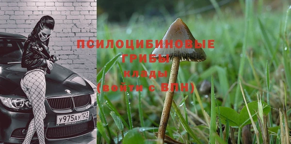 кокаин колумбия Белокуриха